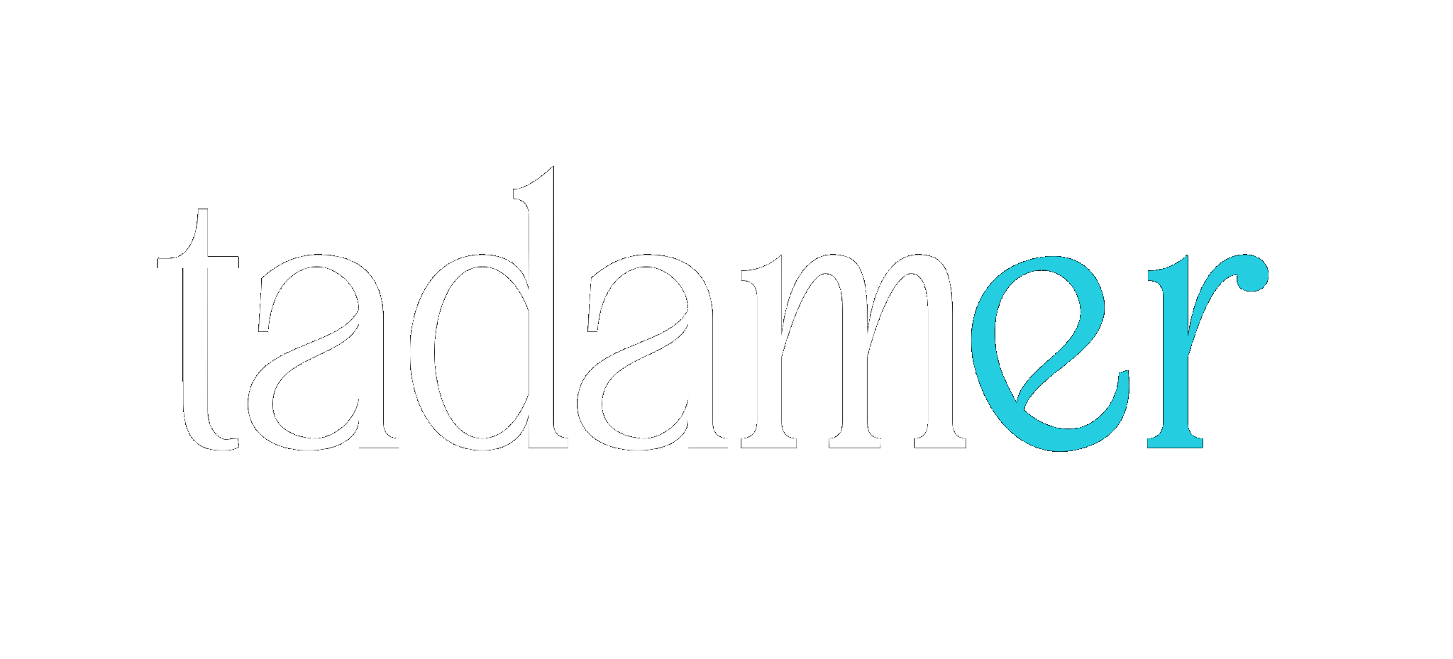 Tadamer logo